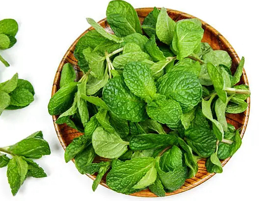 薄荷_副本.jpg undefined